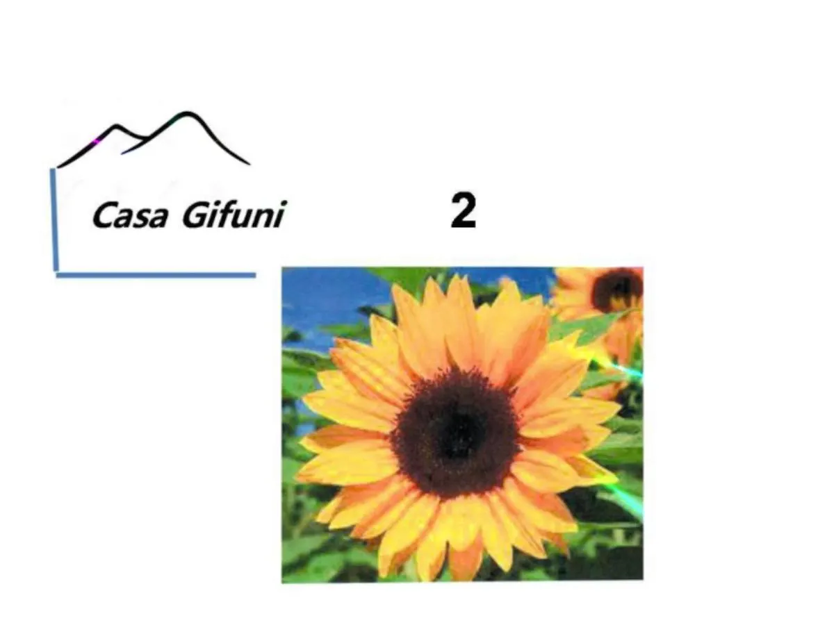 Hotel Casa Gifuni Neapel Gasthof